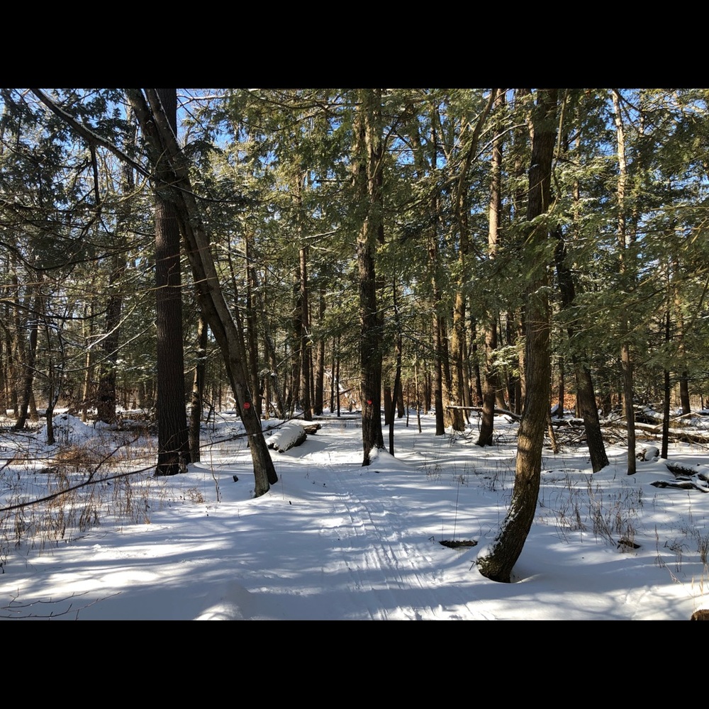 Meet your Posher, Alison